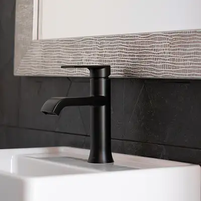 Moen Single Handle Faucets